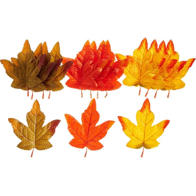 VBS Herfstbladeren, gesorteerd - Gesorteerd