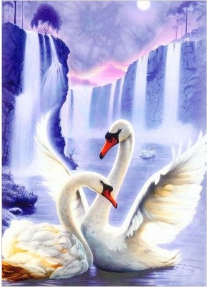 Diamond Painting Swan Pair 50x67 cm vierkante steentjes