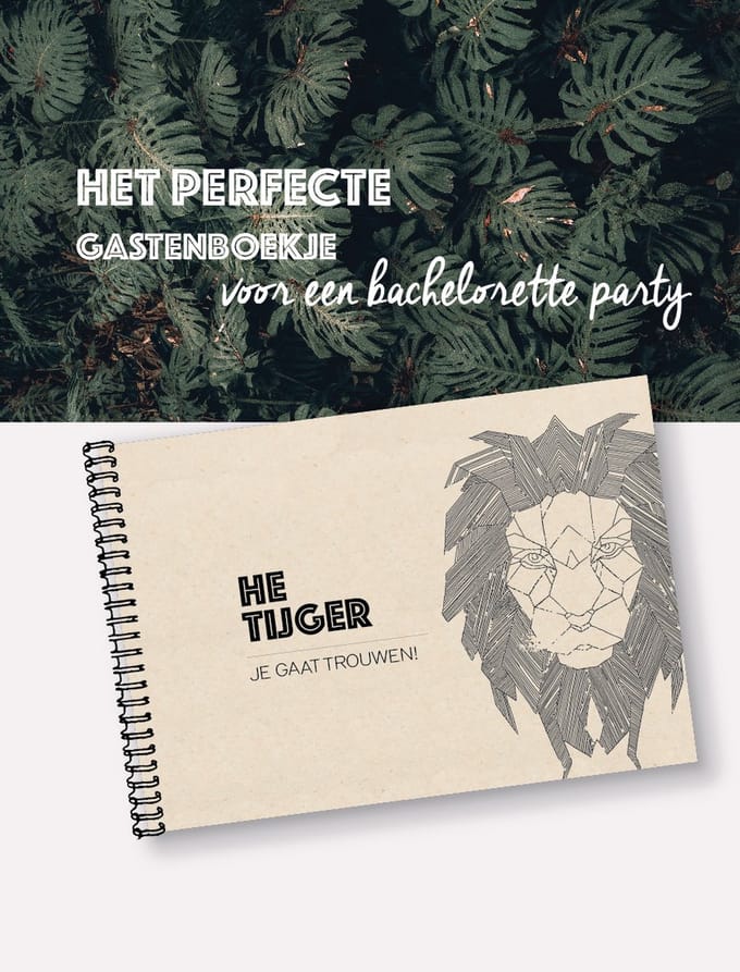 Invulboek - Vrijgezellenfeest - Duurzaam cadeau