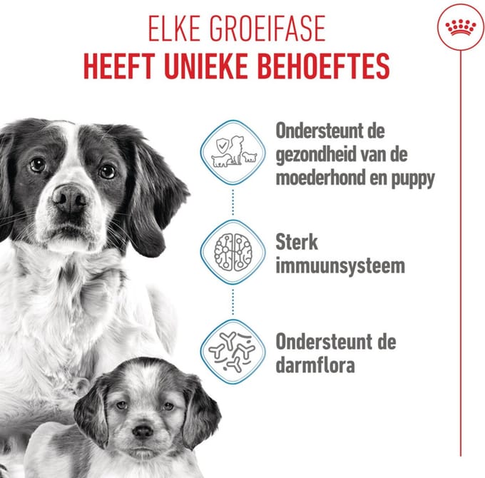 Royal Canin - Hondenvoer Droog Mother & Baby Medium Starter - 1 kg
