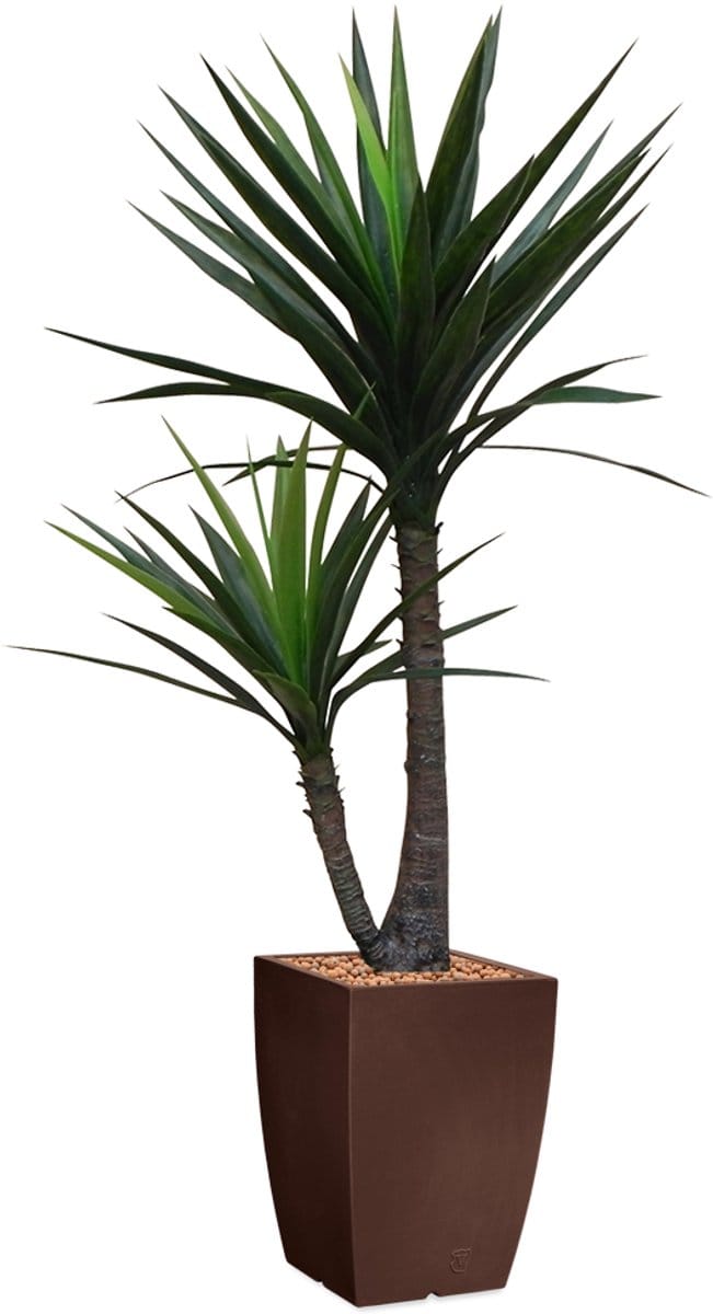 HTT - Kunstplant Yucca in Genesis vierkant bruin H150 cm