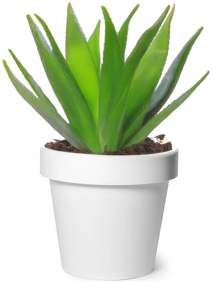 Mega Collections Plantenpot/bloempot - kunststof - wit - buiten - D25 x H22 cm
