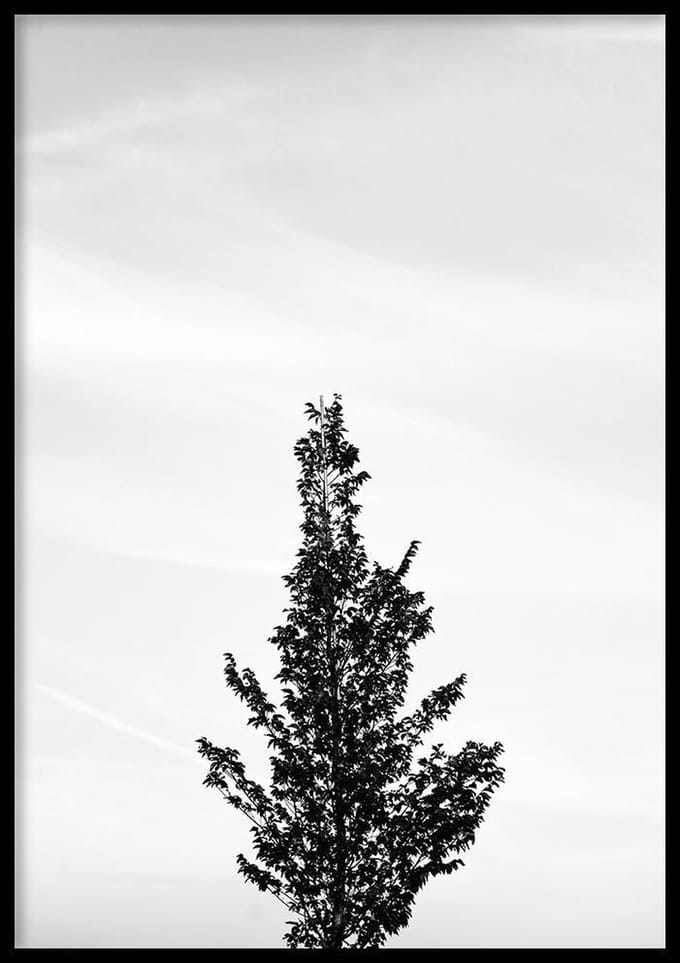 Poster – Boom - 70x100cm