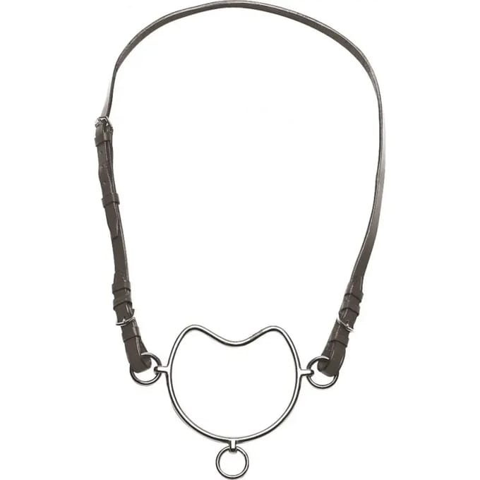 Chifney voor paard Norton Club