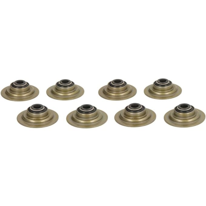 Pakkingset, klepsteel PAYEN HR5051
