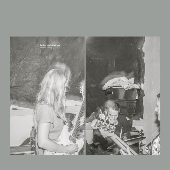 Hedvig Mollestad Trio - Smells Funny (LP)