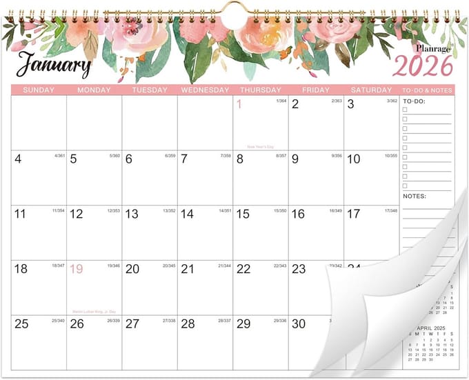 Wandkalender 18 Maanden Januari 2023 Tot Juni 2024