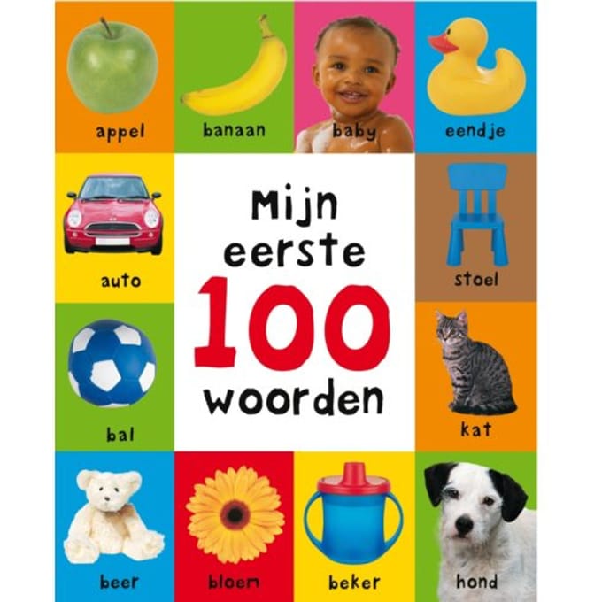 Mijn Eerste 100 Woorden - Mijn Eerste 100 - Roger Priddy