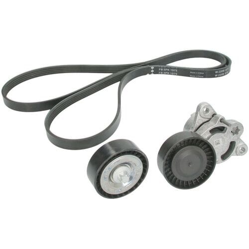Schaeffler Ina V-snaar set (met rollen) INA 529 0545 10