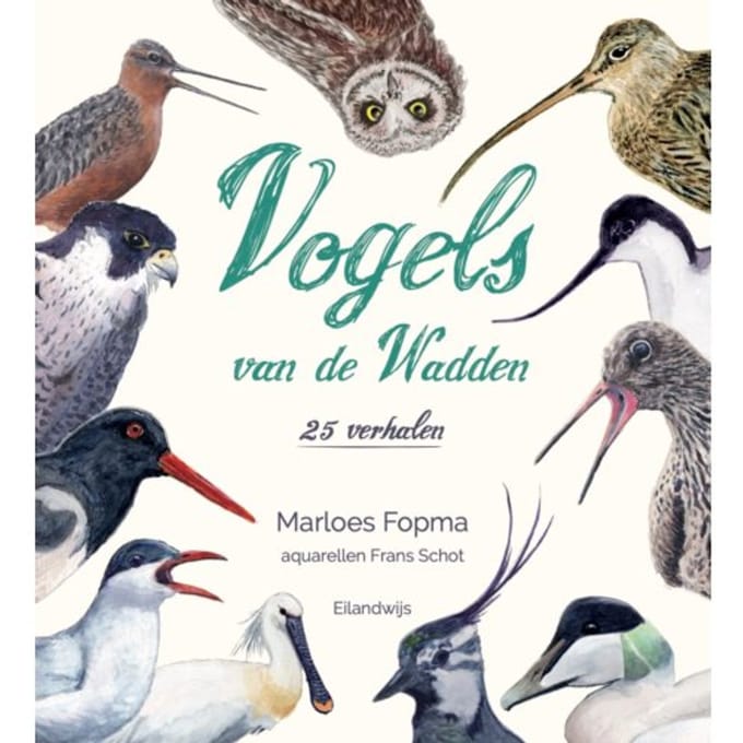 Vogels Van De Wadden - Marloes Fopma