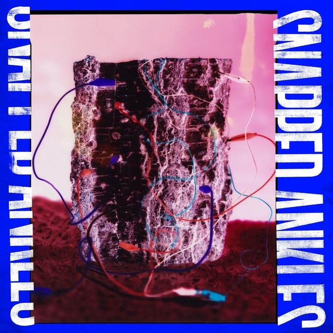 Snapped Ankles - Forest Of Your Problems (CD)
