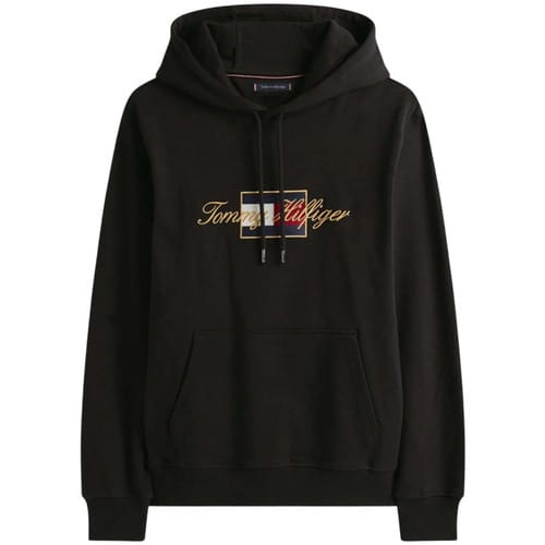 Capuchon sweaters Tommy Hilfiger MW0MW41502