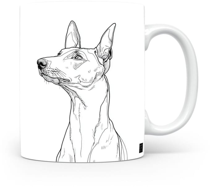 Beker Podenco Ibicenco