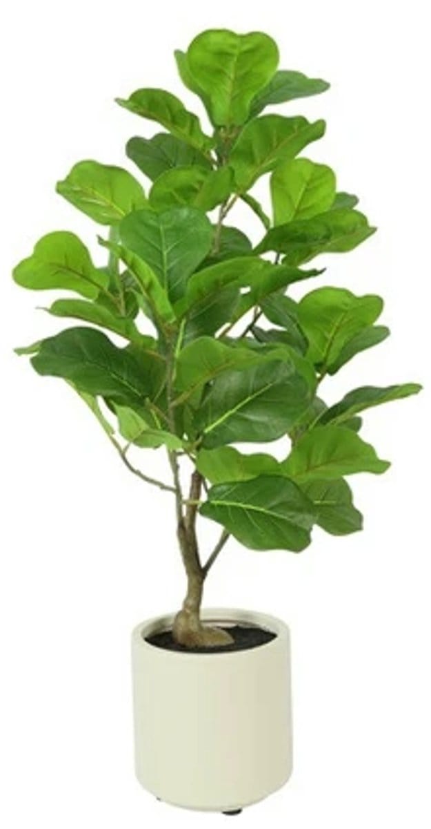 Kunstpl ficus lyrata 15x15x66cm grn