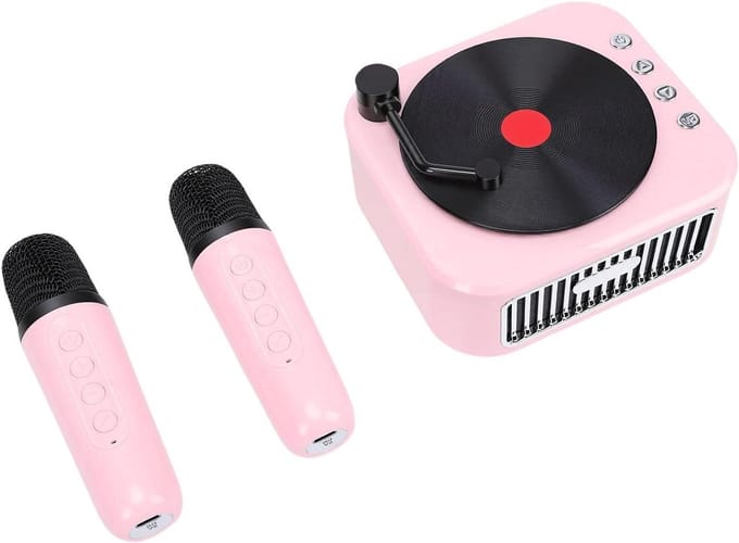 Mini Karaoke Machine - Draagbare Speaker - Feestjes Thuis - Met 2 Microfoons - 18 x 15 x 8 cm