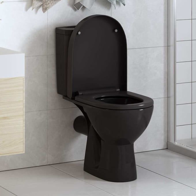 vidaXL - Toiletbril - soft-close - met - quick-release - ontwerp - zwart