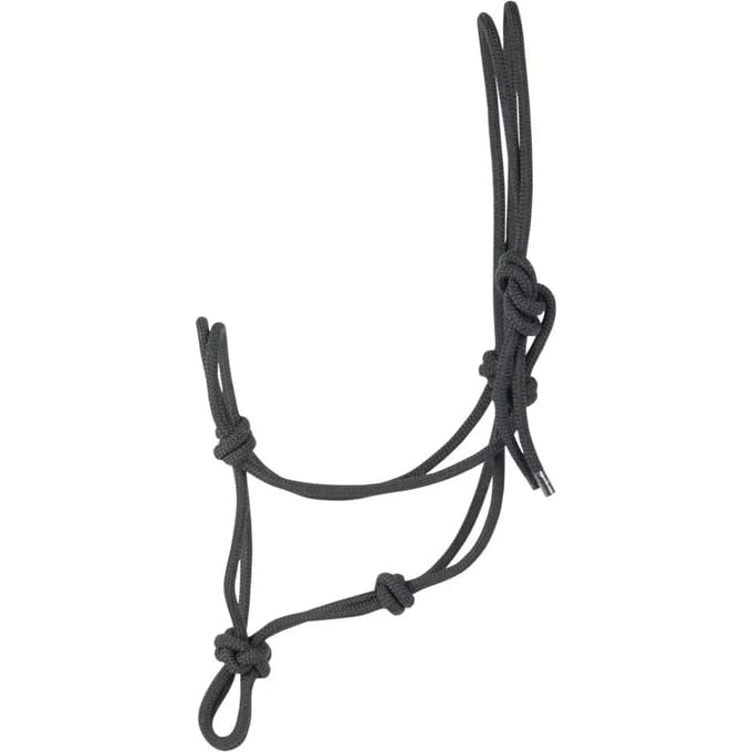 Paarden halster Harry's Horse