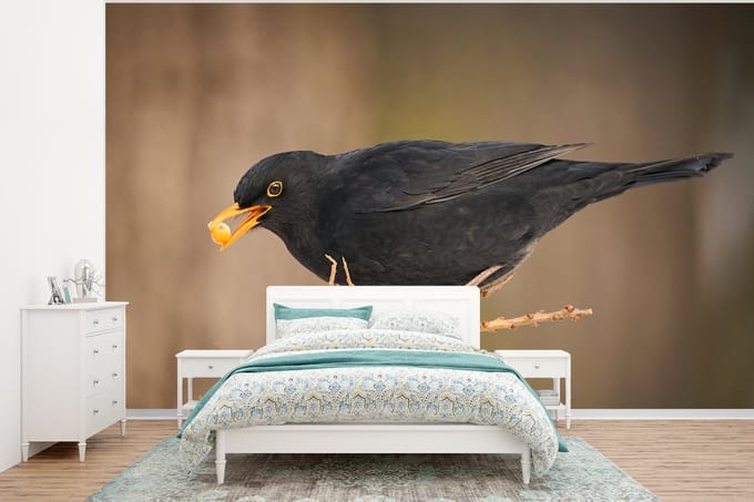 Behang - Fotobehang Vogel - Merel - Winter - IJs - Bes - Breedte 295 cm x hoogte 220 cm