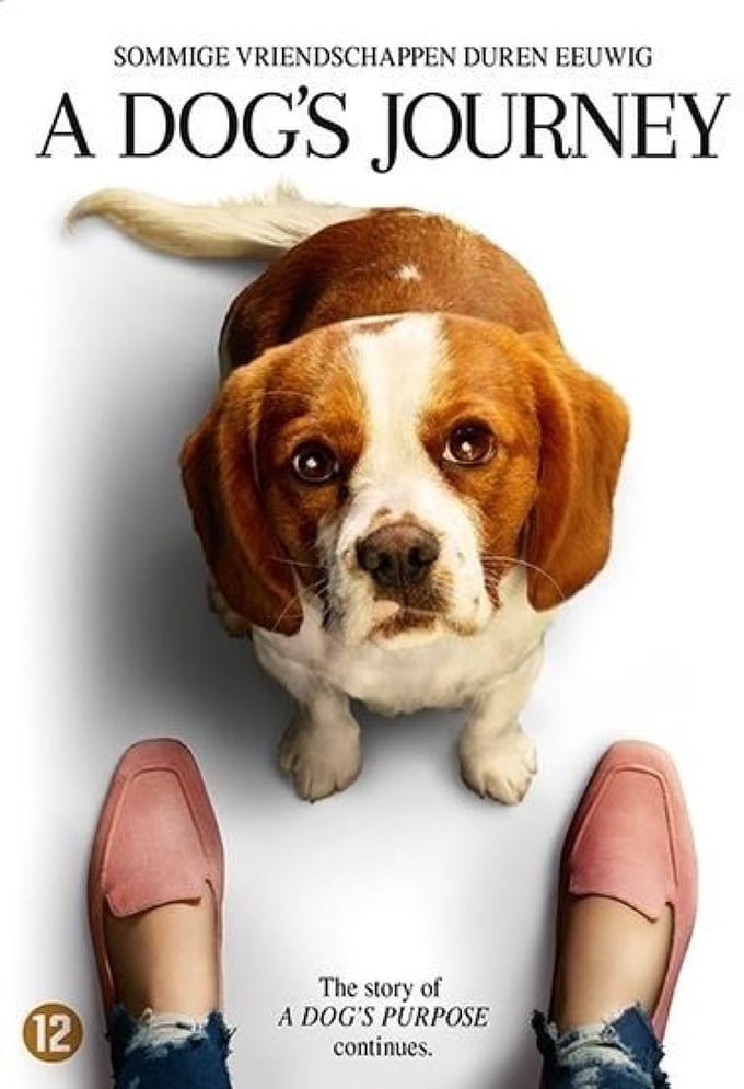 A Dog's Journey (DVD)
