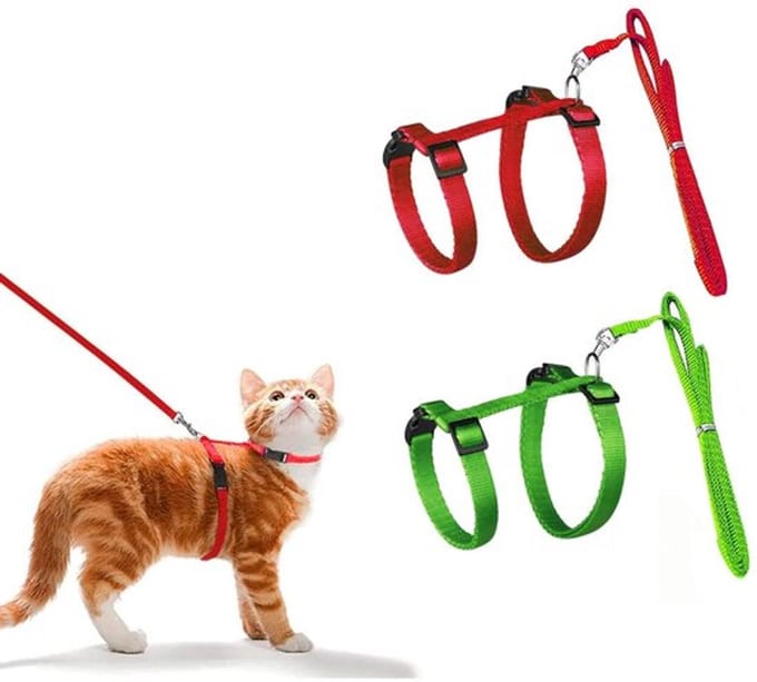 Kattenharnas met verstellen en riem van Dailygoody