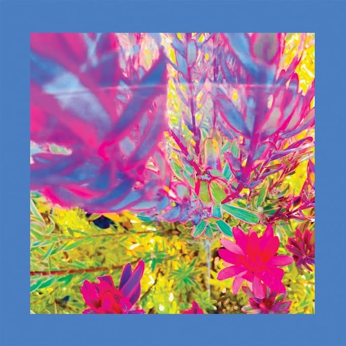Pinks Reds & Purples - The Past Is A Garden I Never Fed (LP) (Coloured Vinyl)