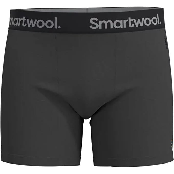 Merinowollen boxershort Smartwool Active