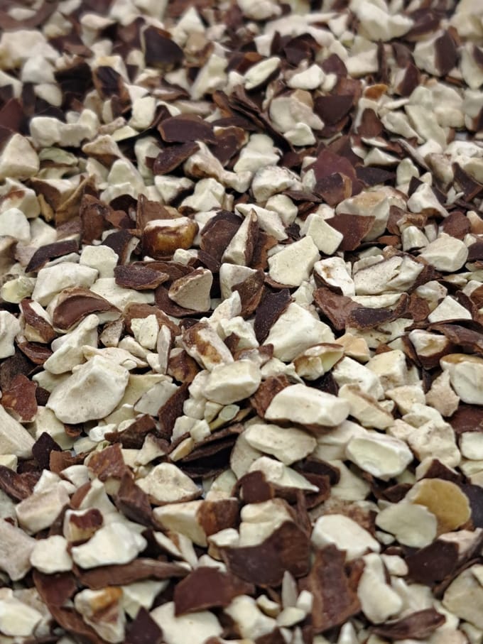 Witte paardenkastanje (Aesculus hippocastanum)150g