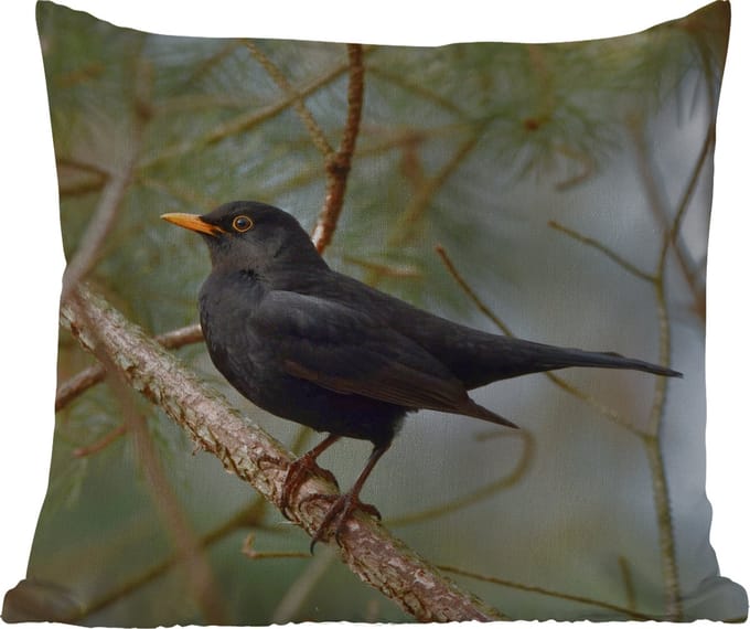 Buitenkussen - Vogel - Merel - Takken - Dieren - 45x45 cm - Weerbestendig