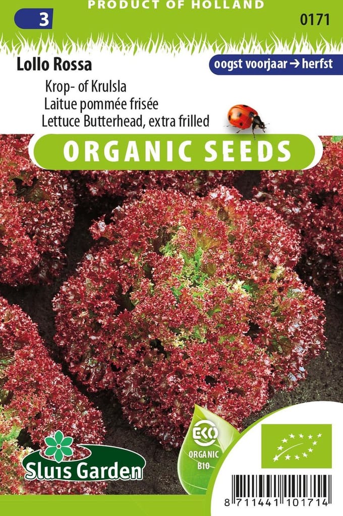 Sluis Garden - Sla Lollo Rossa BIO