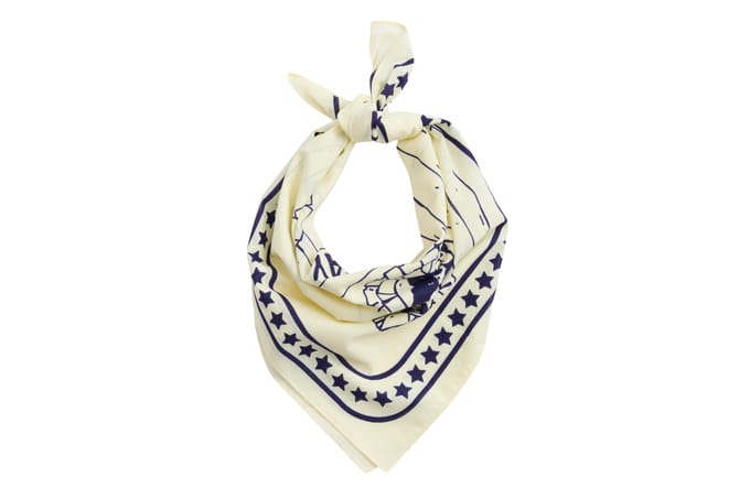 Hay zzHAY - Recycled Dogs Scarf 55 x 55 (White & Blue)