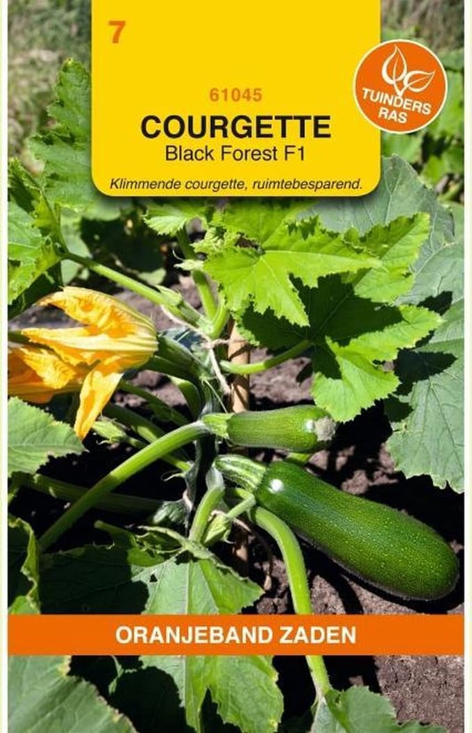 Oranjebandzaden -  Courgette Klimmend Black Forest F1