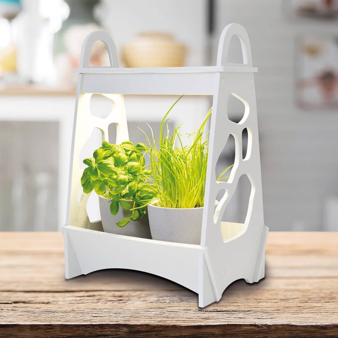 Näve LED tafellamp Garden, groeibevorderend, 50 cm