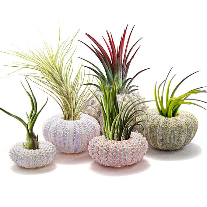 5 STKS Grappige Plantenbakken Schattige Decoratieve Hangende Plantenbak voor Huis Kantoor Decor beige