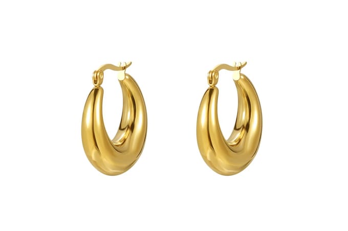 Di Lusso stainless steel oorringen Zizi
