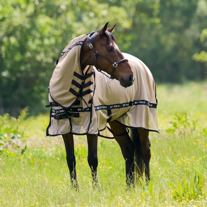 Paardenvliegendeken HV Polo Nena