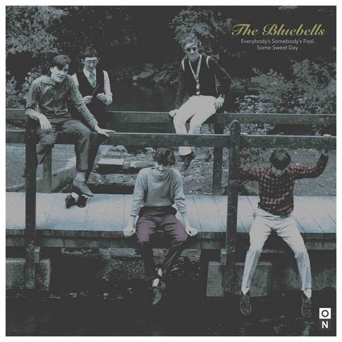 Bluebells - Everybody's Somebody's Fool (7" Single) (Limited Edition) (Coloured Vinyl)