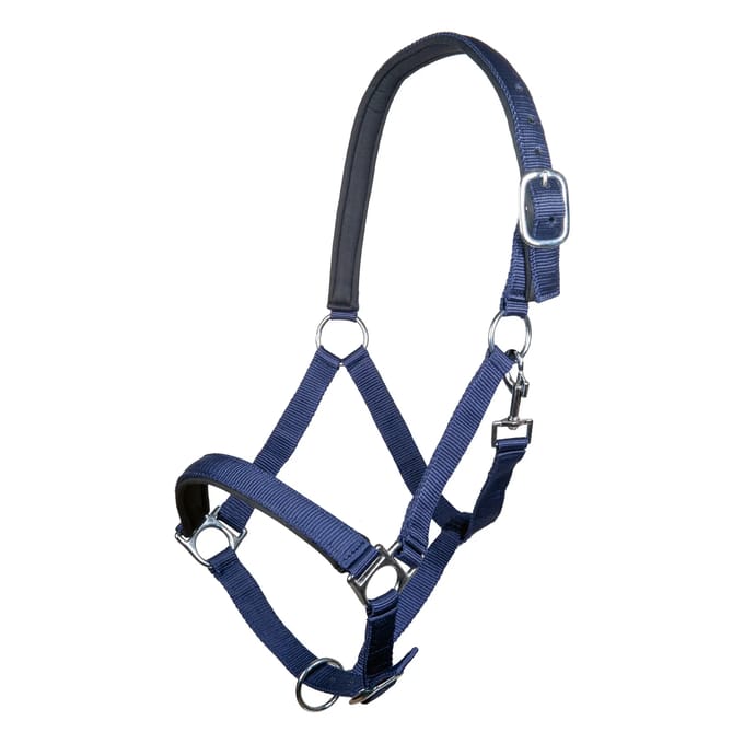 Halster voor paarden HKM Stars