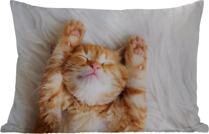 Buitenkussens - Kat - Rood - Huisdieren - Kitten - 60x40 cm - Weerbestendig