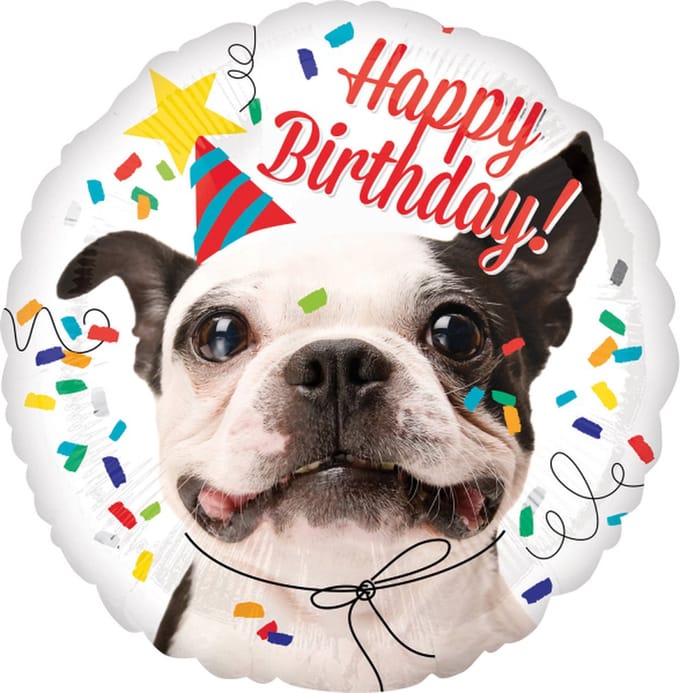 Folieballon Happy Birthday hond 43cm