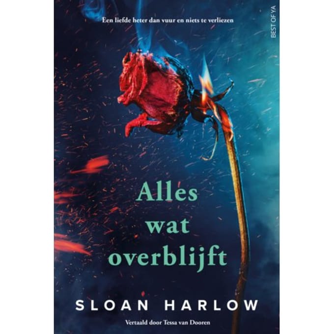 Alles Wat Overblijft - Sloan Harlow
