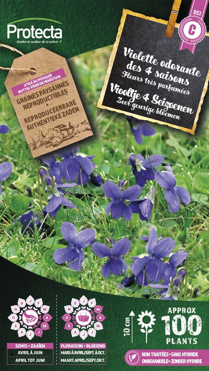 Protecta Bloemen zaden: Viooltje 4 Seizoenen