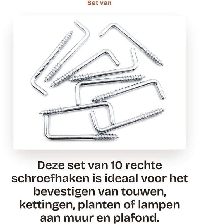 Dailygoods - Set van 10 Rechte Schroefhaken voor Wand en Plafond