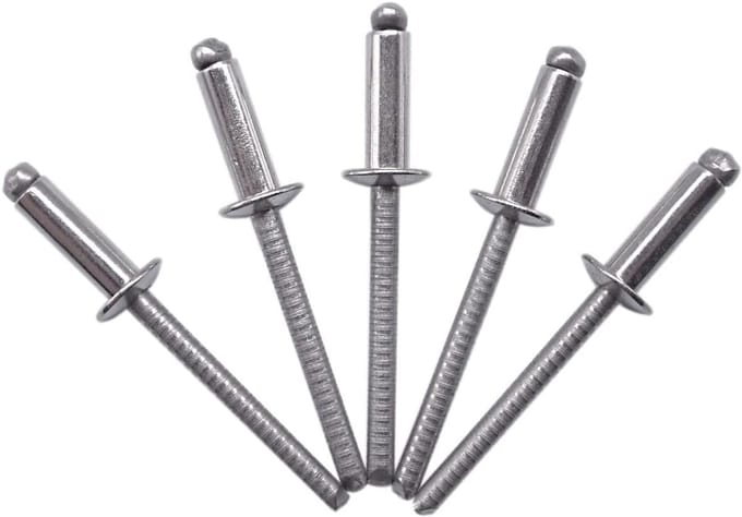 Pack van 100 Stuks RVS Blindklinknagels 4 x 12 mm Koepelkop