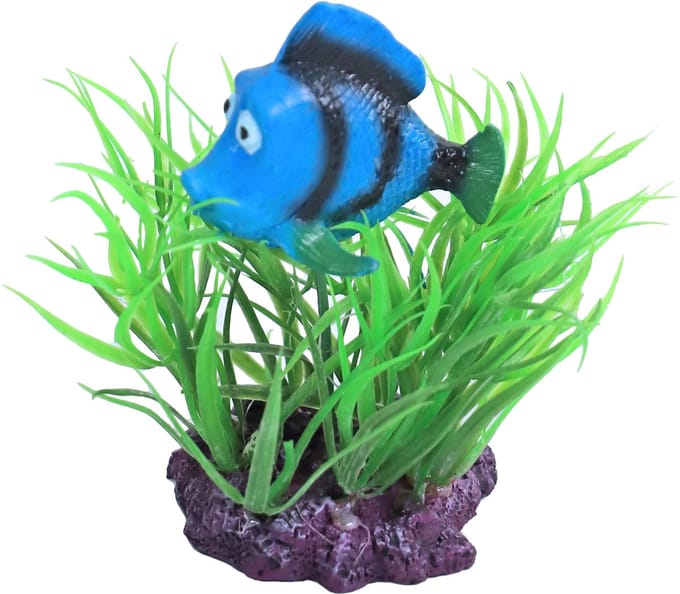 De Boon Aquarium ornament plant met doktersvis | 10 cm | schuilplek