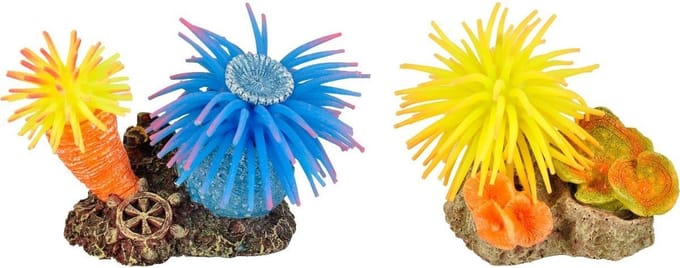 Flamingo Aquarium Leo anemoom+rots - Willekeurig - 10 x 7 x 7 cm