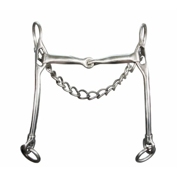Titanium bitten voor paarden Karlslund