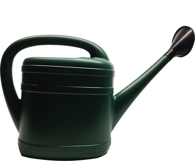 Gieter + Sproeikop 10 Liter Groen