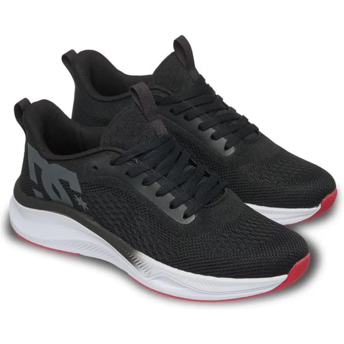 Baskets DC Shoes Roammax