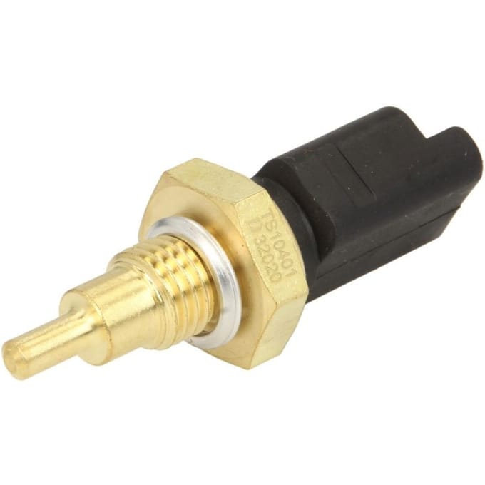 Temperatuursensor DELPHI TS10401