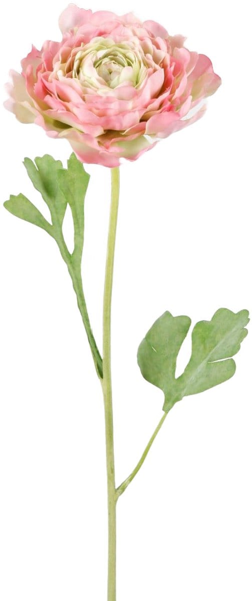 Viv! Home Luxuries Ranonkel - zijden bloem - groen roze - 56cm